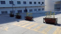 IMG_20170719_160035