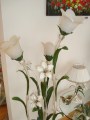 DSC012236