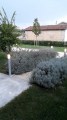 IMG-20180811-WA0000
