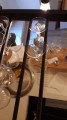 IMG-20190216-WA0001