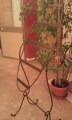 IMG_20160225_184309