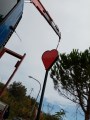 IMG_20200923_112319