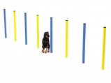 slalom